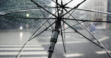 umbrella, rain, wet