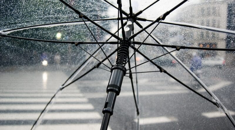 umbrella, rain, wet