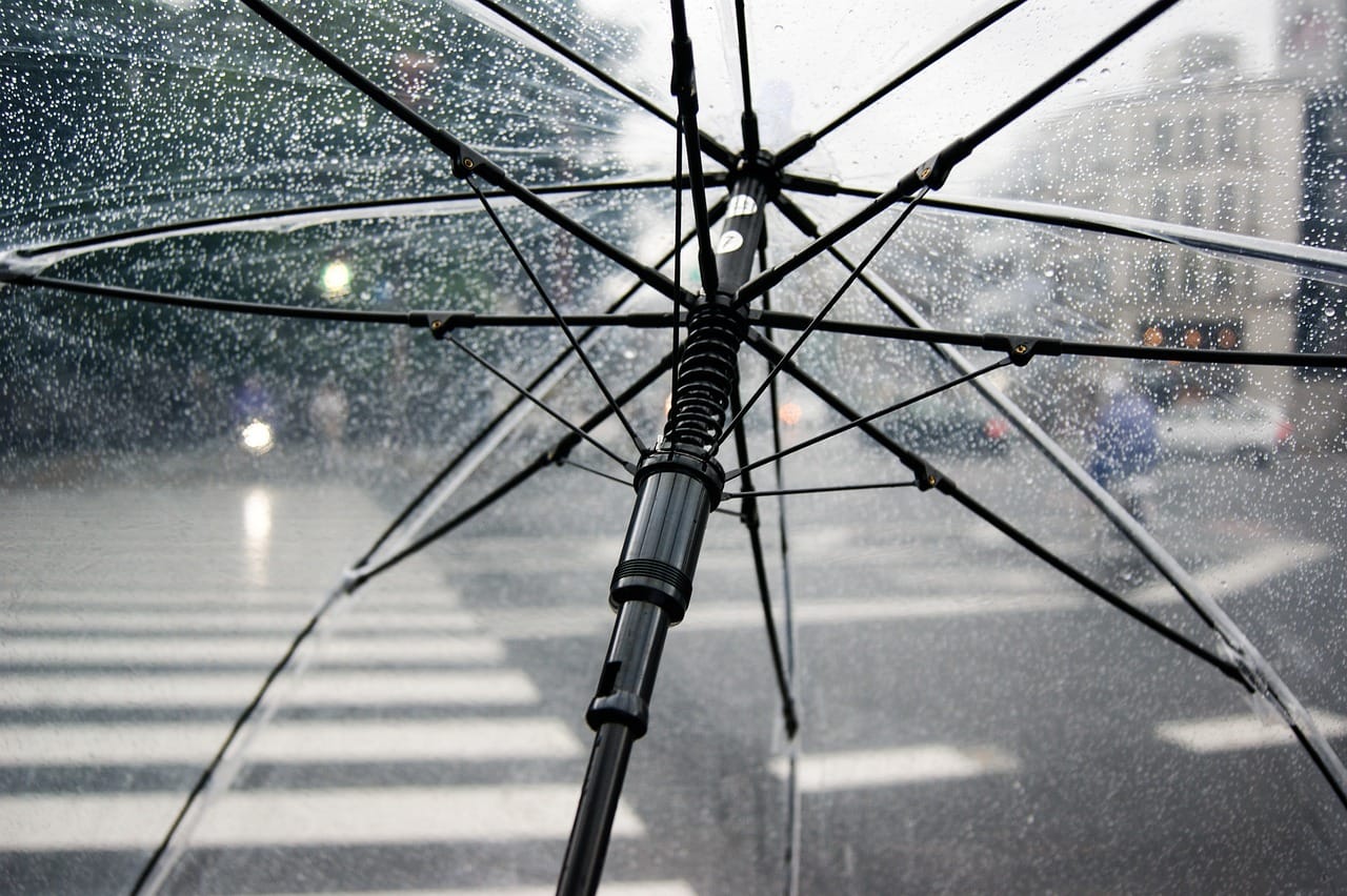 umbrella, rain, wet