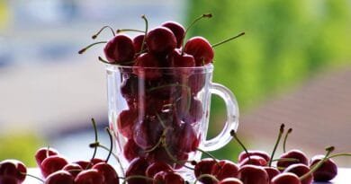 cherries, fruit, the cup