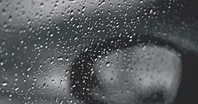 rain, car window, gloomy, raindrops, nature, black and white, rain, rain, rain, rain, rain, car window, car window