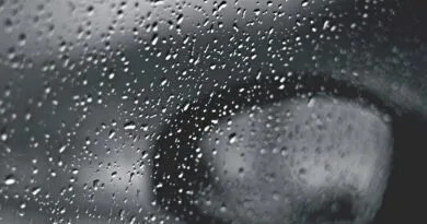 rain, car window, gloomy, raindrops, nature, black and white, rain, rain, rain, rain, rain, car window, car window