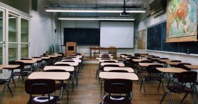 classroom, school, education, learning, lecture, classroom, classroom, classroom, school, school, school, school, school