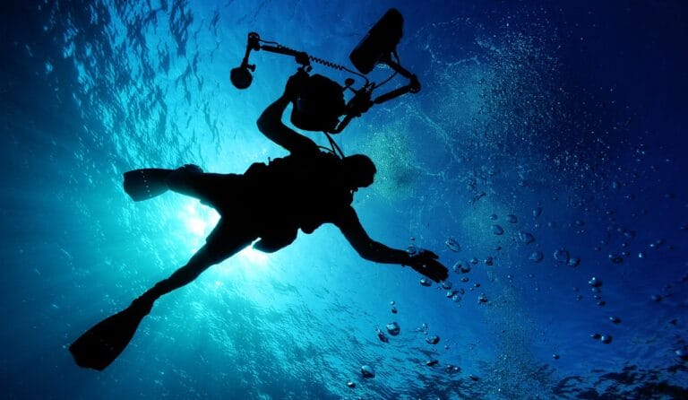 Photo by 12019 - NewsOk scuba diving, swimming, sea, ocean, water, underwater, underwater diving, diver, diving, recreational activity, scuba diving, scuba diving, scuba diving, scuba diving, swimming, swimming, underwater, nature, underwater, diving, diving, diving, diving, diving