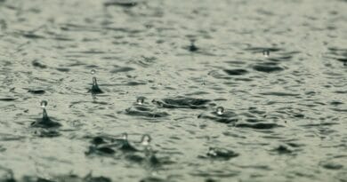 water, raindrops, nature, raining, wet, liquid, splashing, drops, rain, rainfall, water droplets, aqua, rain, rain, rain, rain, rain