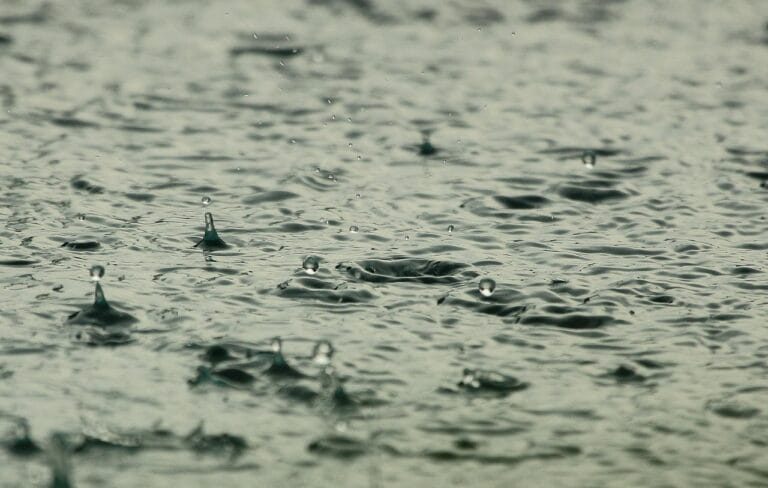 Photo by diego_torres - NewsOk water, raindrops, nature, raining, wet, liquid, splashing, drops, rain, rainfall, water droplets, aqua, rain, rain, rain, rain, rain