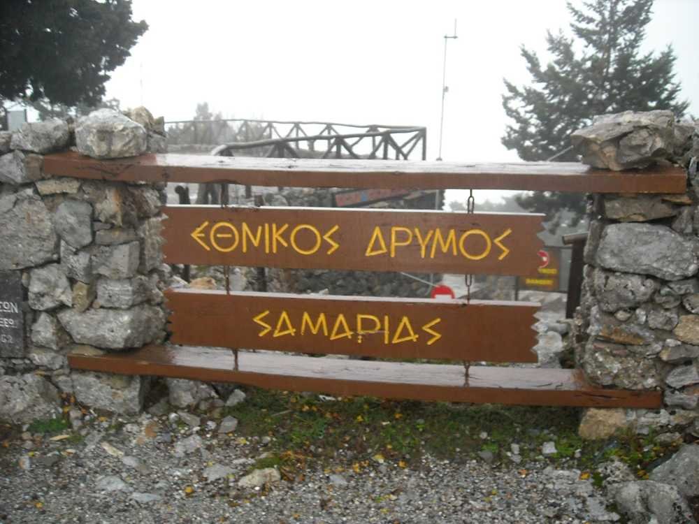 samaria - NewsOk