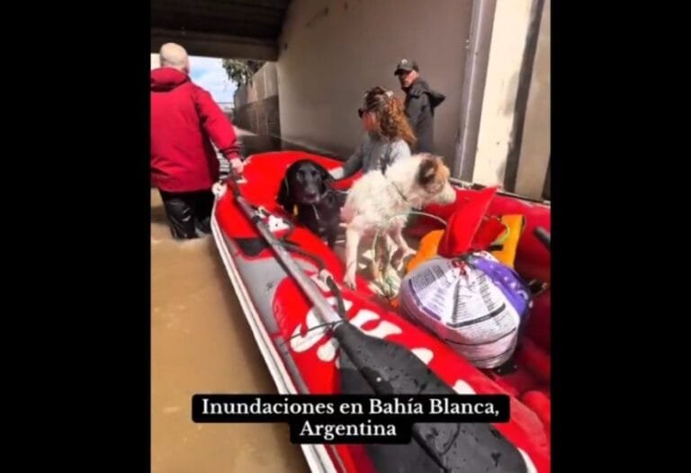 argentina - NewsOk