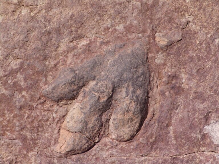dinosaur_pexels - NewsOk