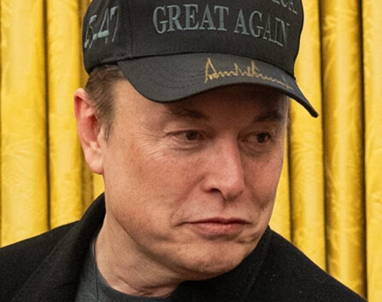 elonmusk_publicdomain - NewsOk