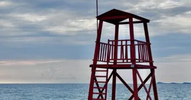 pecels.sea