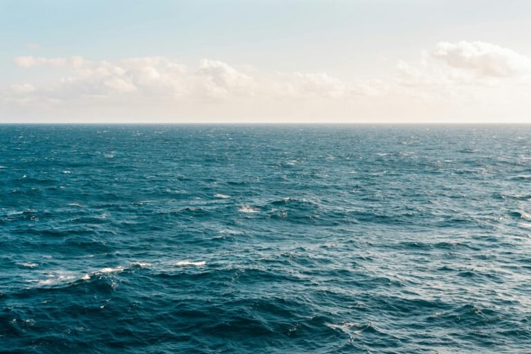 thalassa_pexels - NewsOk