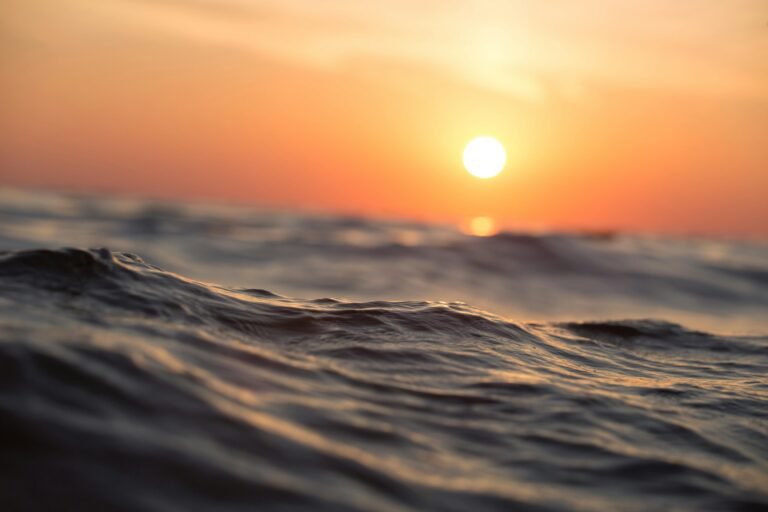 thalassa_pexels - NewsOk