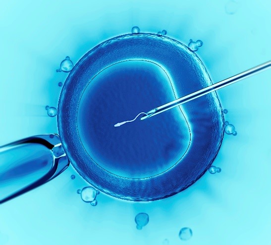 InVitroFertilization - NewsOk