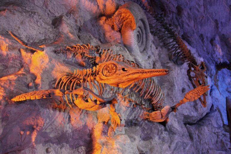 fossils_mammals - NewsOk
