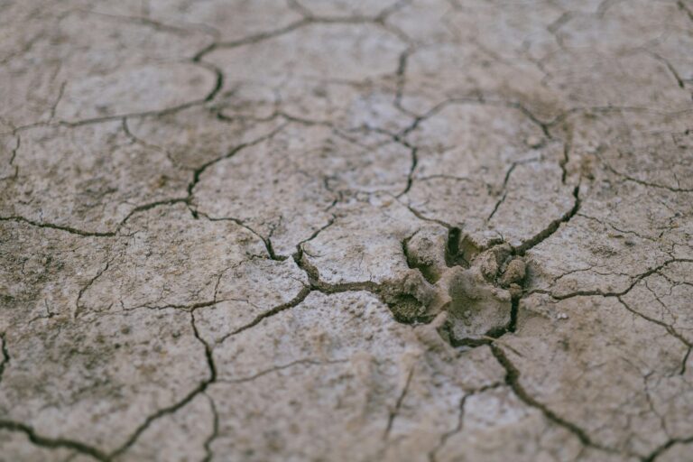 rigma_pexels - NewsOk