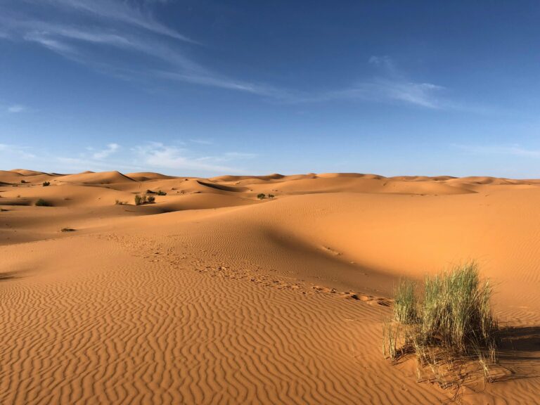 pexels-desert - NewsOk