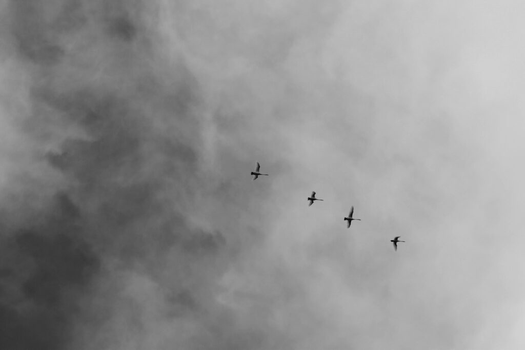 Αιγαίο: 14 παραβιάσεις από πέντε τουρκικά UAV και ένα κατασκοπευτικό CN-235