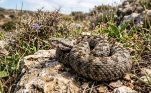 img_9801jpg - NewsOk