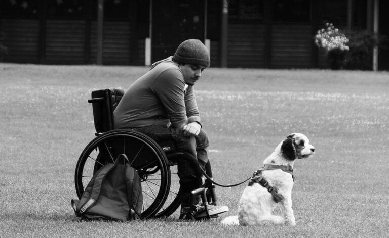 Dog and Man - NewsOk